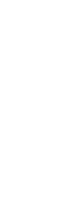 Leaf Png